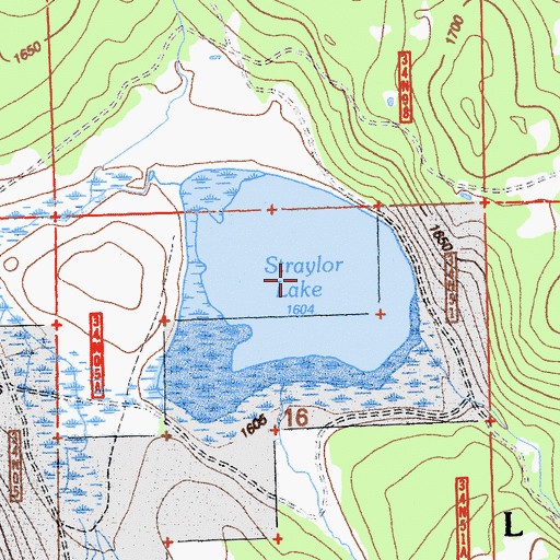 Topographic Map of Straylor Lake, CA