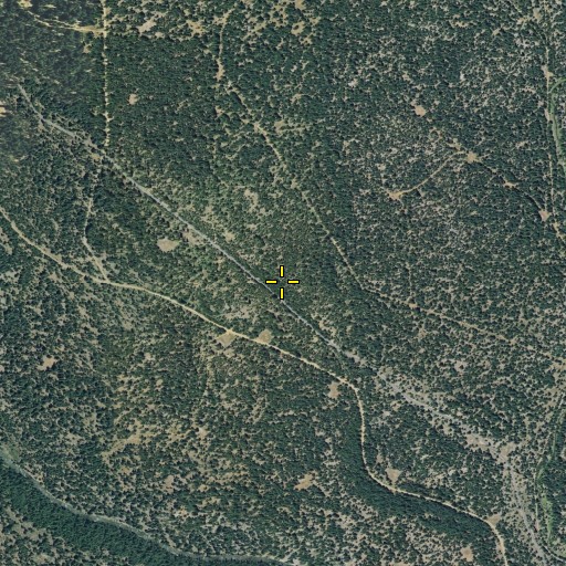 Aerial/Satellite Image of Sunflower Flat, CA