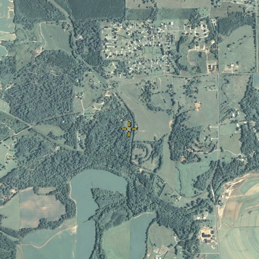 Aerial/Satellite Image of Old Salem Graveyard, GA