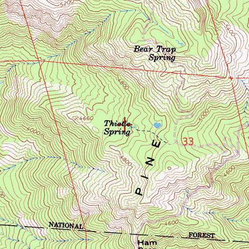 Topographic Map of Thistle Spring, CA