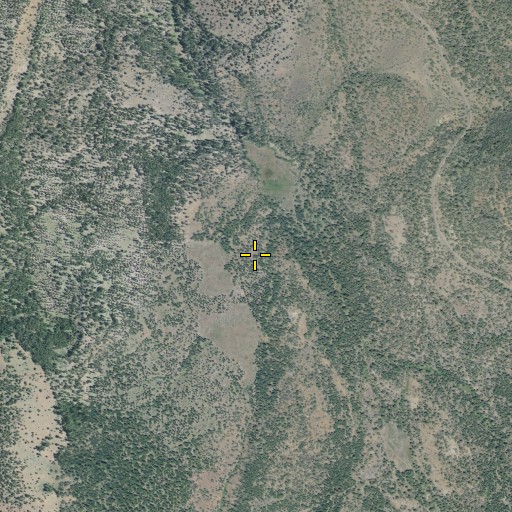 Aerial/Satellite Image of Walker Draw, CA