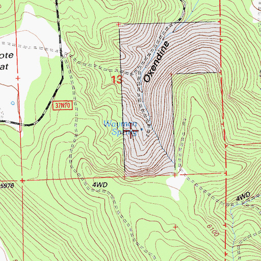 Topographic Map of Wayman Spring, CA
