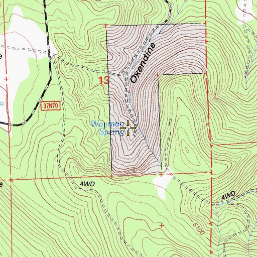 Topographic Map of Wayman Spring, CA