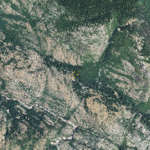 Aerial/Satellite Image of West Meadow Creek, CA