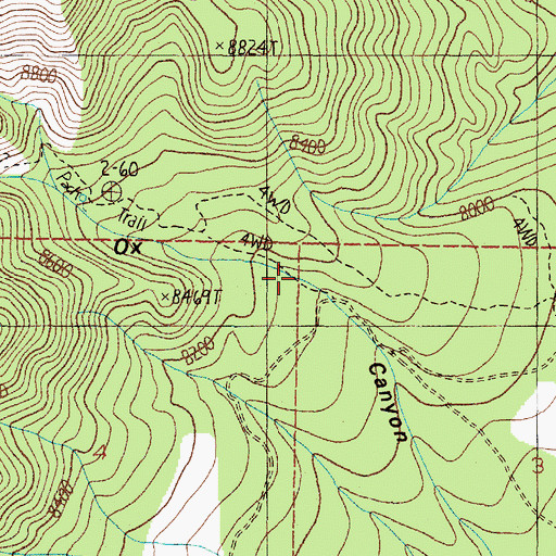 Topographic Map of Spruce Spring Trail, NM