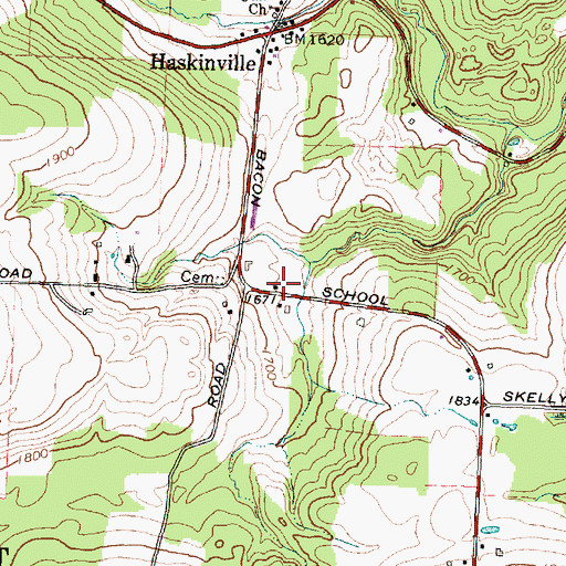 Topographic Map of Haskinville School (historical), NY