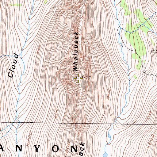 Topographic Map of Whaleback, CA