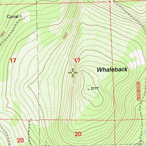 Topographic Map of Whaleback Mountain, CA