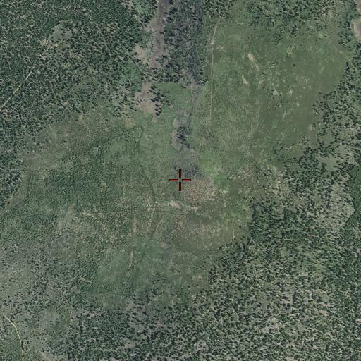 Aerial/Satellite Image of Whaleback Mountain, CA