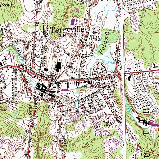 Topographic Map of Terryville Census Designated Place, CT