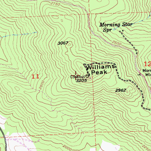 Topographic Map of Williams Peak, CA