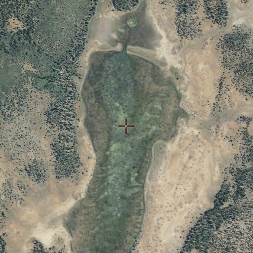 Aerial/Satellite Image of Williams Reservoir, CA