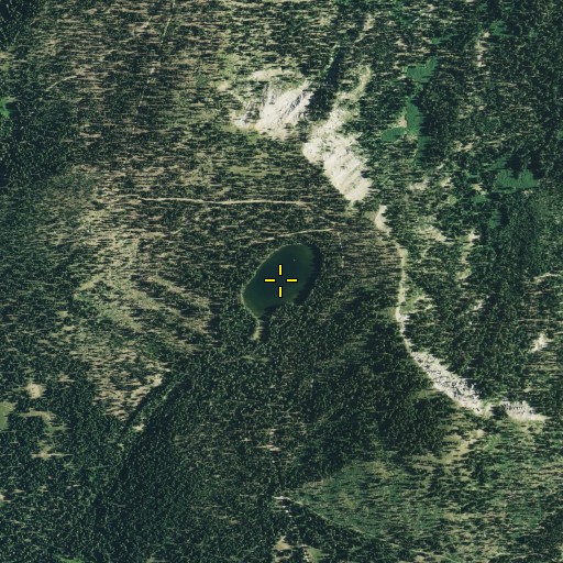 Aerial/Satellite Image of Lake of The Woods, CA