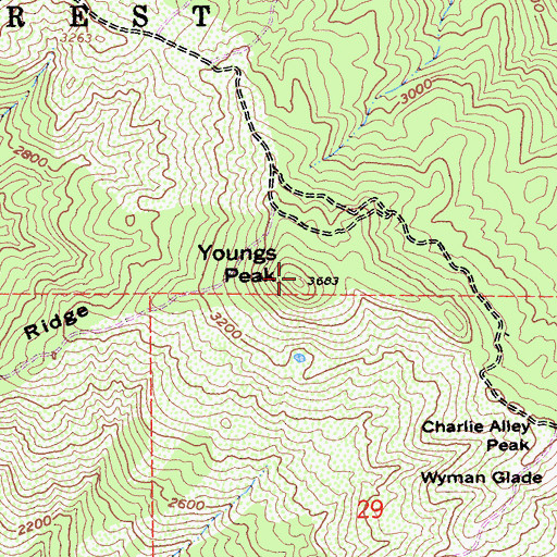Topographic Map of Youngs Peak, CA