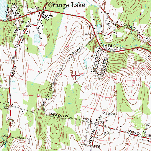 Topographic Map of Orange Lake Census Designated Place, NY