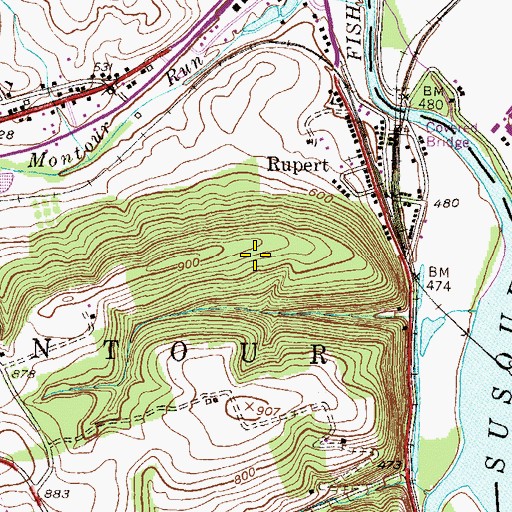 Topographic Map of Rupert Census Designated Place, PA