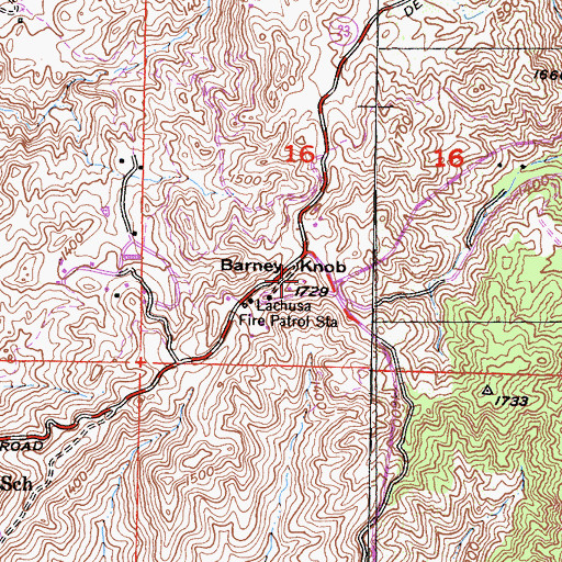 Topographic Map of Barney Knob, CA
