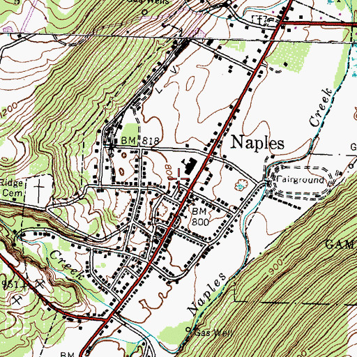 Topographic Map of Village of Naples, NY