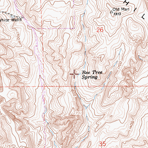 Topographic Map of Bee Tree Spring, CA