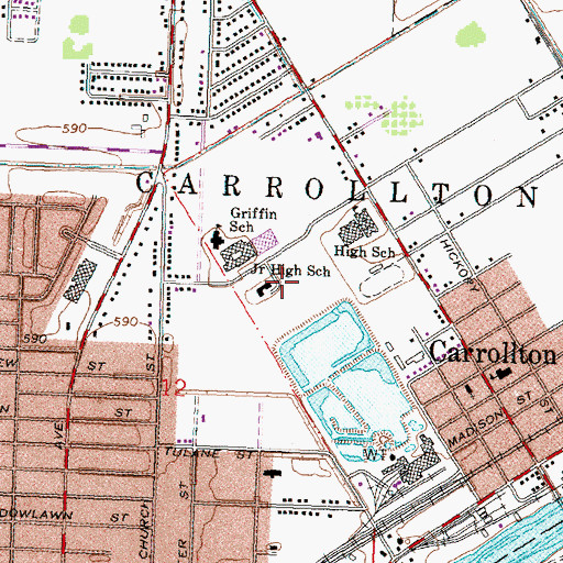 Topographic Map of Carrollton Census Designated Place, MI