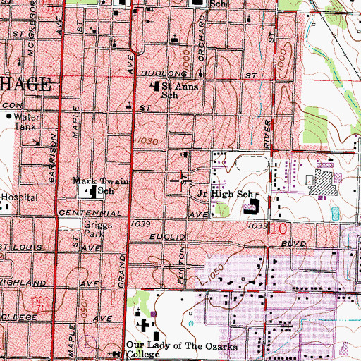 Topographic Map of City of Carthage, MO