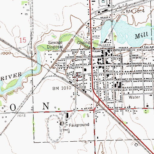 Topographic Map of City of Appleton, MN