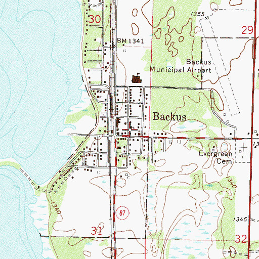 Topographic Map of City of Backus, MN