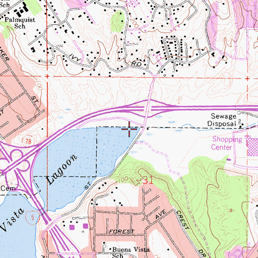 Topographic Map of Buena Vista Creek, CA