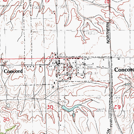 Topographic Map of Village of Concord, IL