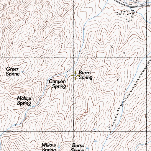 Topographic Map of Burro Spring, CA