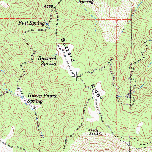 Topographic Map of Buzzard Ridge, CA