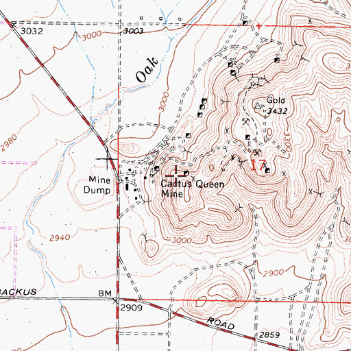 Topographic Map of Cactus Queen Mine, CA