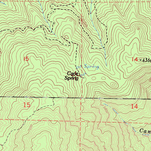 Topographic Map of Cane Spring, CA