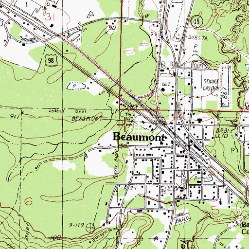 Topographic Map of Town of Beaumont, MS