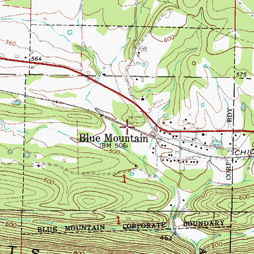 Topographic Map of Town of Blue Mountain, AR