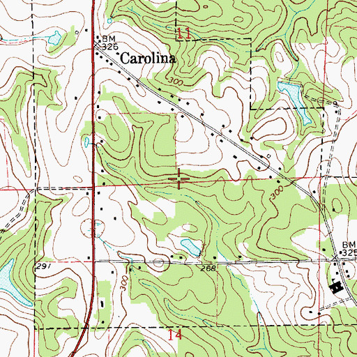 Topographic Map of Town of Carolina, AL