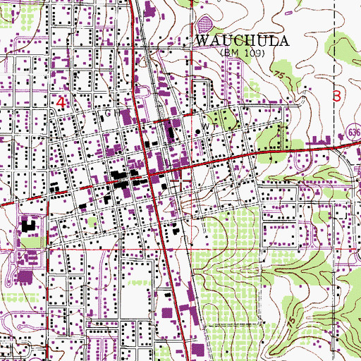 Topographic Map of City of Wauchula, FL