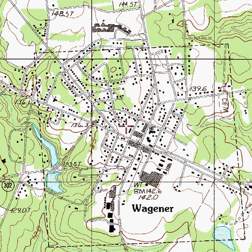 Topographic Map of Town of Wagener, SC