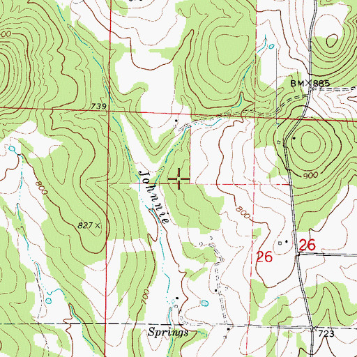Topographic Map of Township of North Joe Burleson (historical), AR