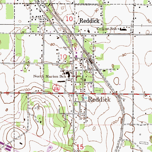 Topographic Map of Town of Reddick, FL