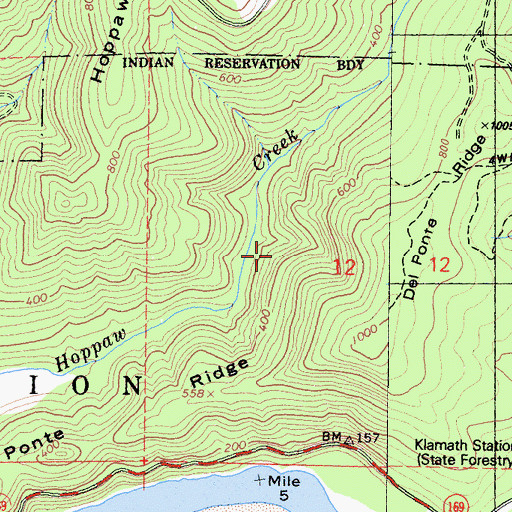 Topographic Map of Klamath Census Designated Place, CA