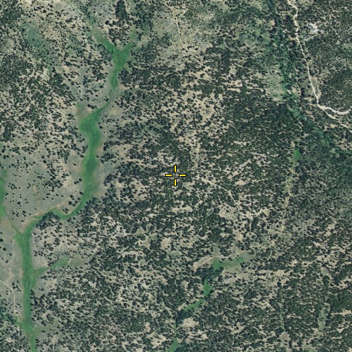 Aerial/Satellite Image of Lake Davis Census Designated Place, CA