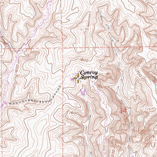 Topographic Map of Conroy Spring, CA