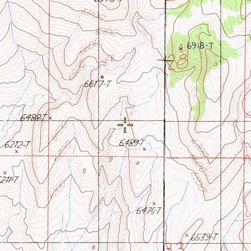 Topographic Map of Coso Range, CA