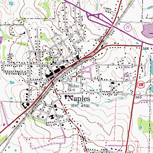 Topographic Map of City of Naples, TX