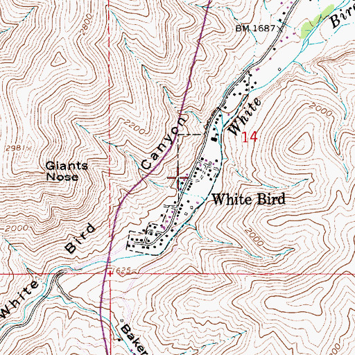 Topographic Map of City of White Bird, ID