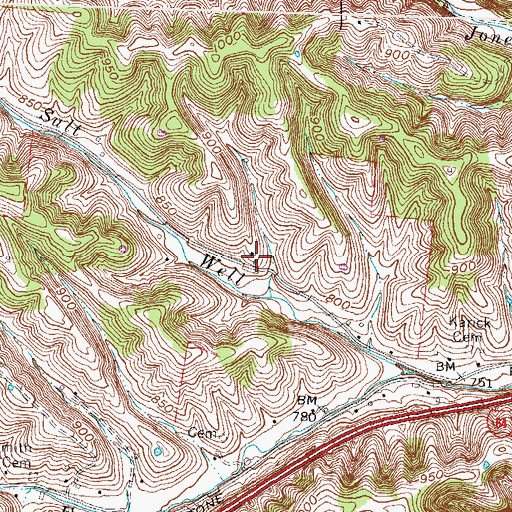 Topographic Map of Salt Well (historical), KY