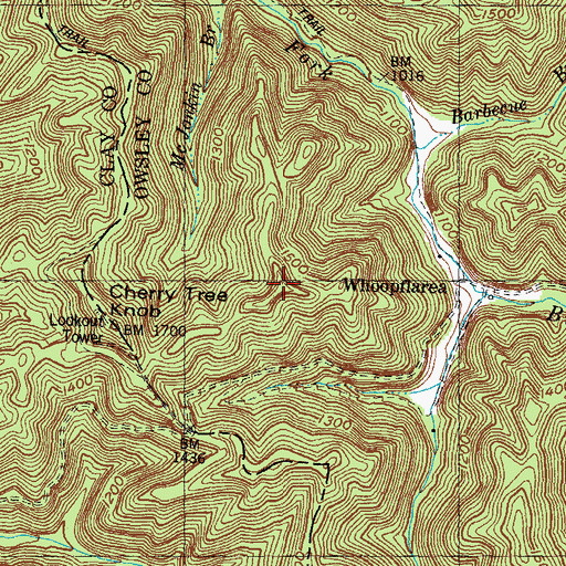 Topographic Map of Cherry Tree Knob, KY
