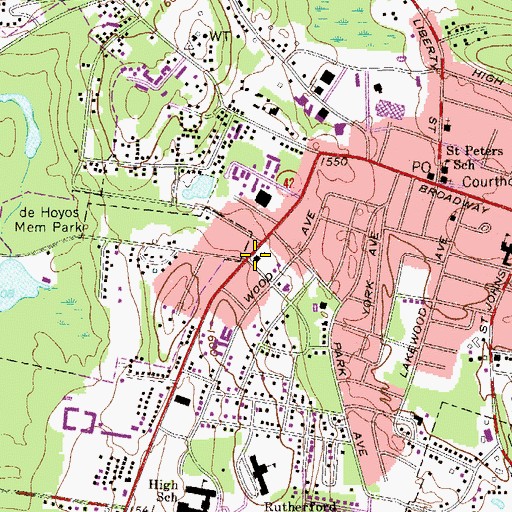 Topographic Map of Temple Sholom, NY