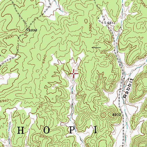 Topographic Map of Forest Lake Chapter, AZ